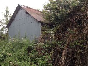 bryrd_hovel_5_south_east